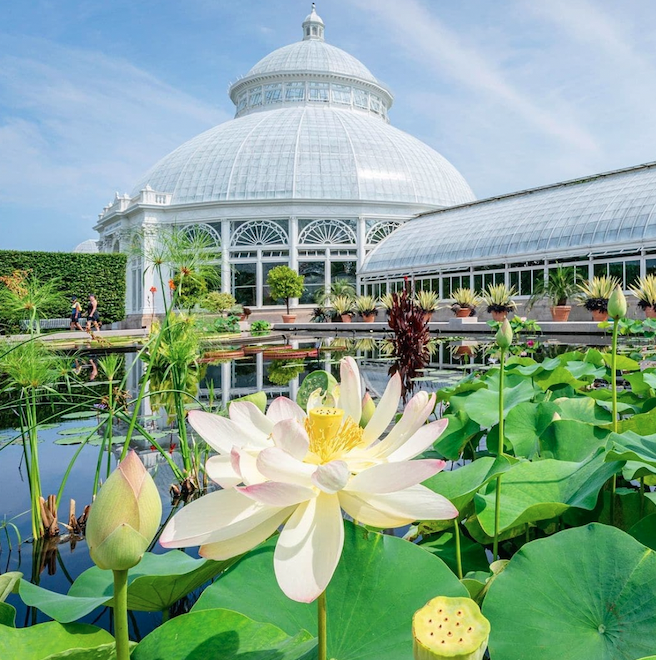Botanical Gardens