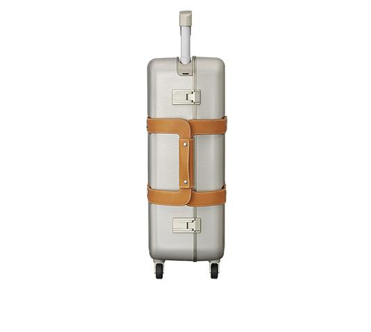 Hermes Orion carry-on luggage
