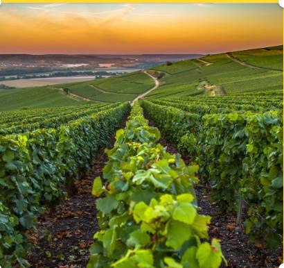 Champagne Region of France