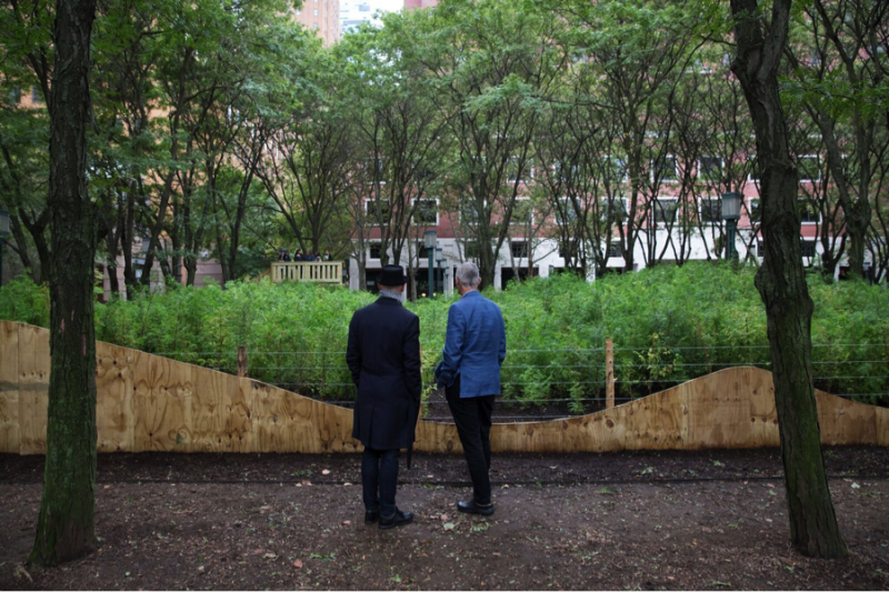 Two men stop to look at a miniature forest in New York created by artist Spencer Finch.
