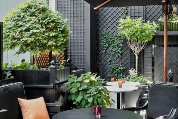 Rooftop bar with vibrant plants and patio seating