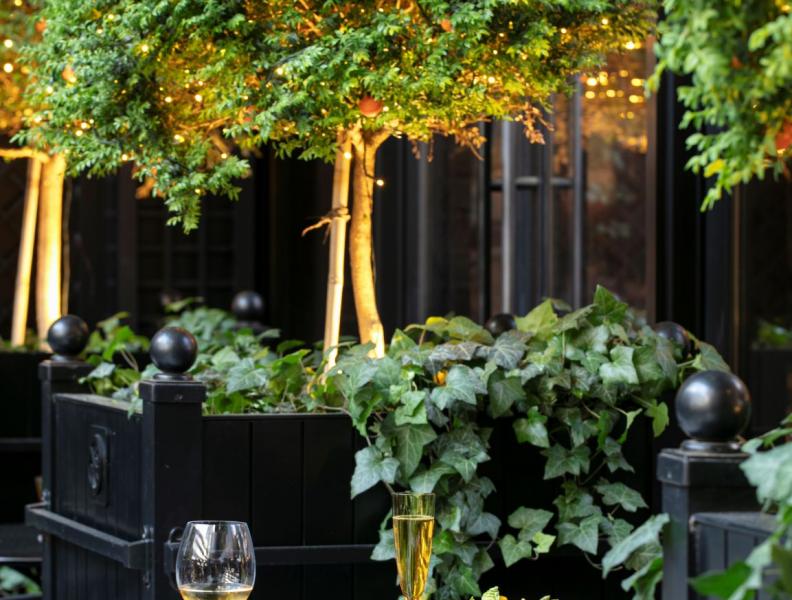 Le Jardin 2, Baccarat hotel, orange trees