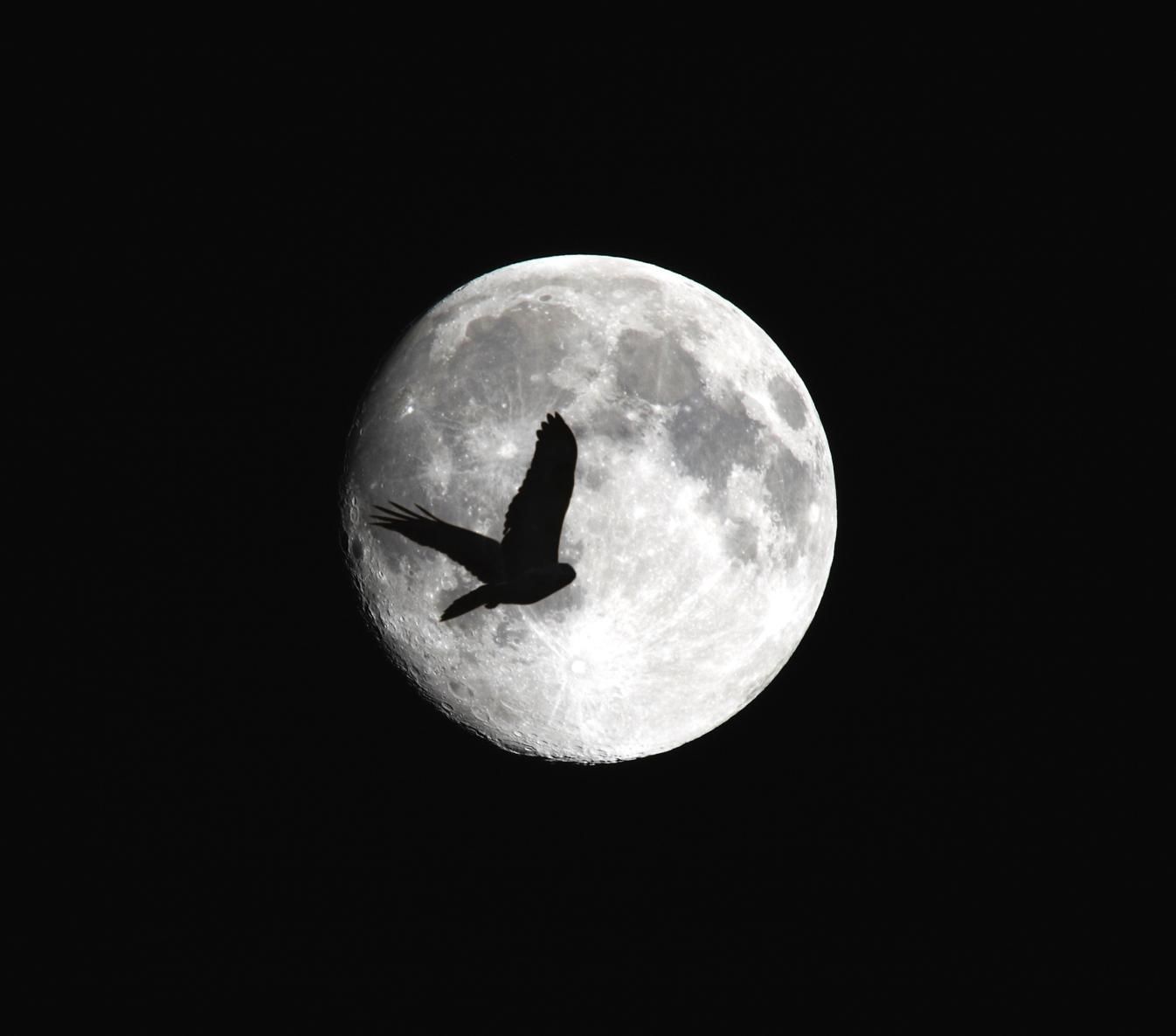 moon