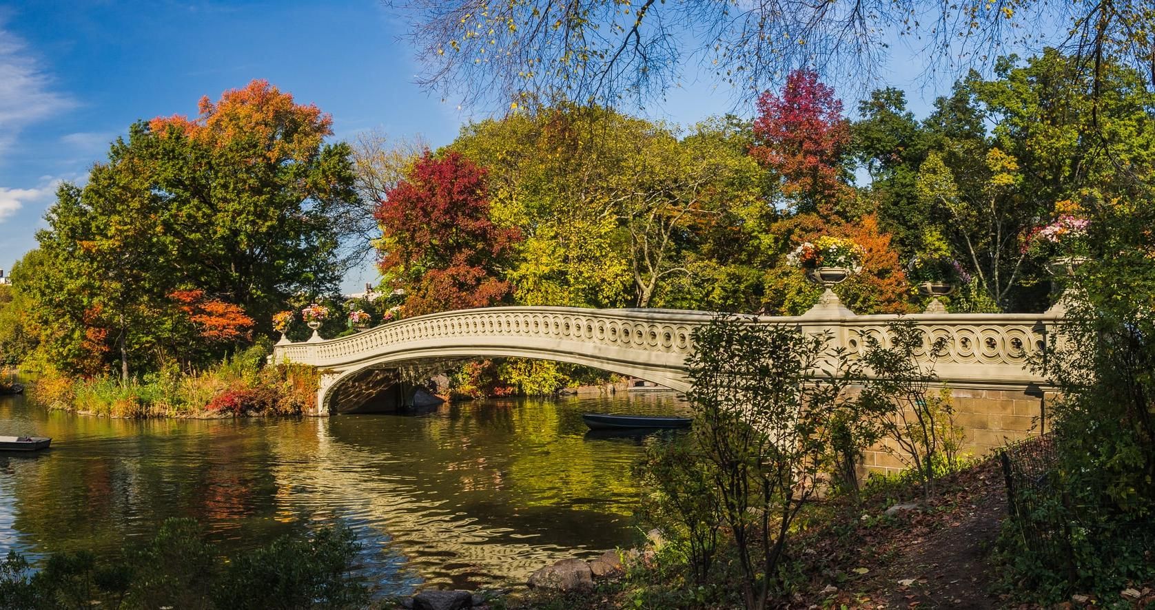 Central Park bridge over water