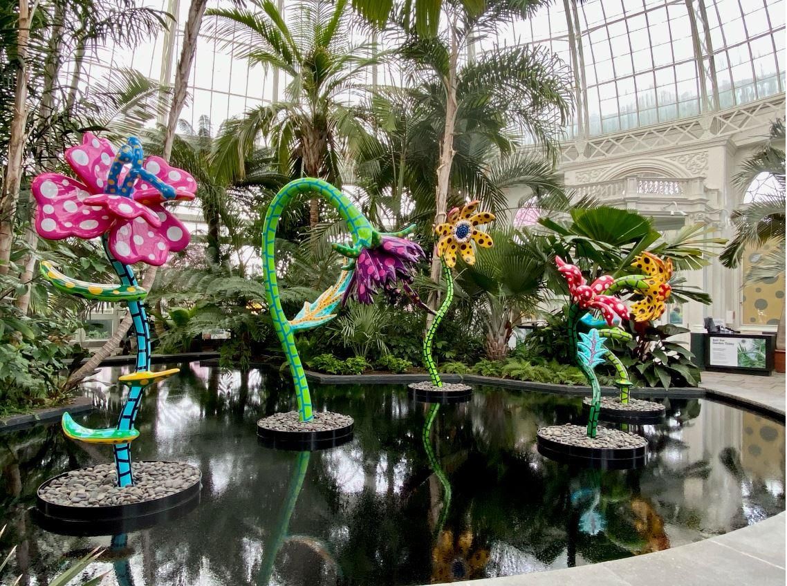 KUSAMA Flowers in pond